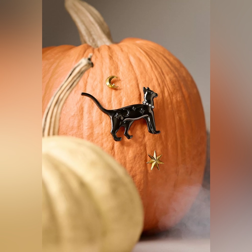 Anthropologie Halloween Black Cat Star Moon Pumpkin Pin Charms Decor NWT